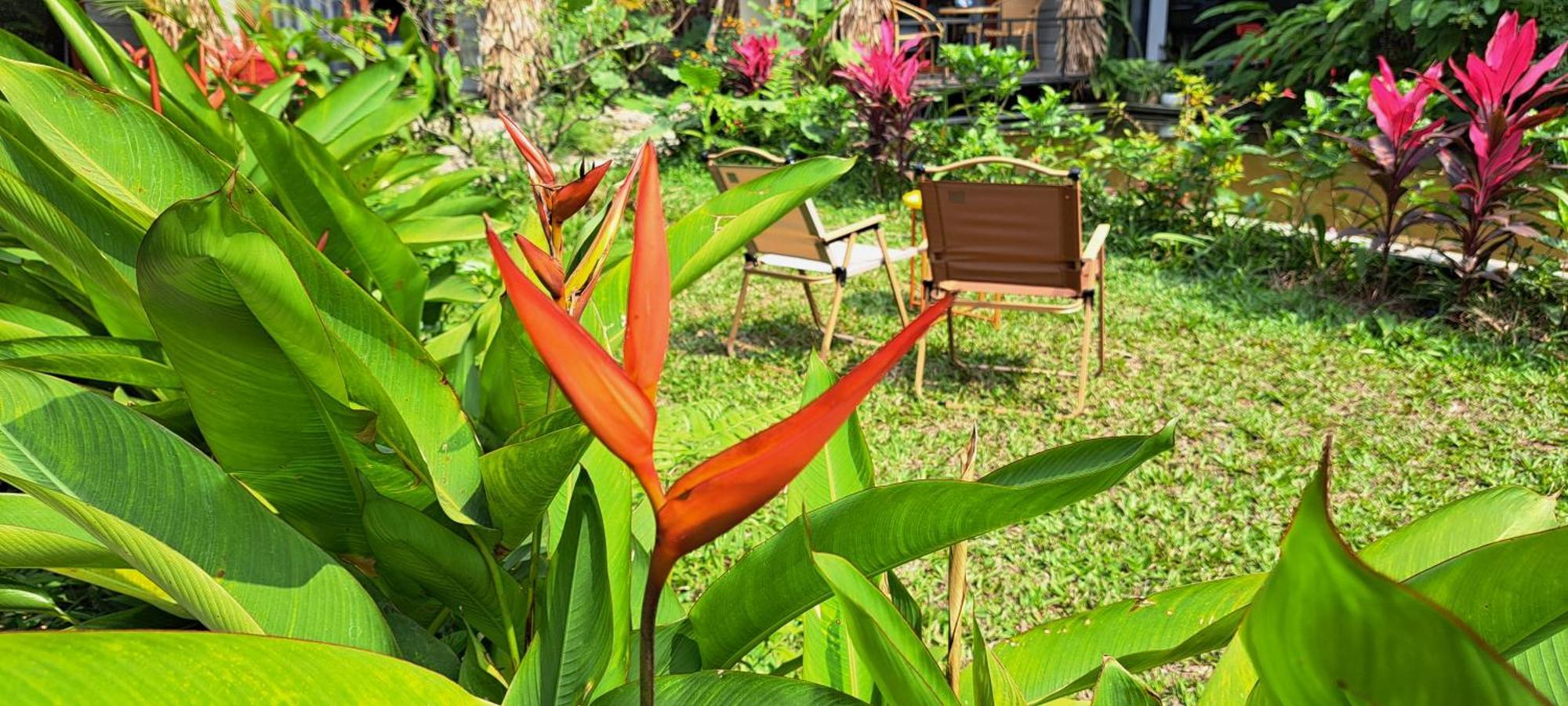 Amy House Lägenhet Ninh Bình Exteriör bild