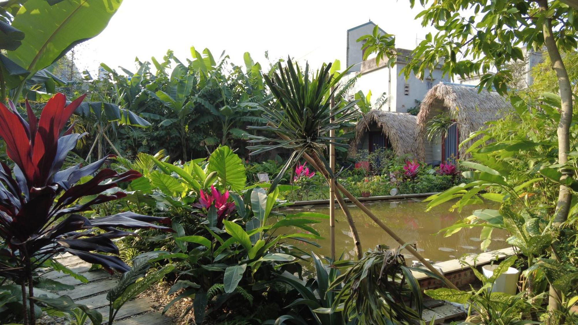 Amy House Lägenhet Ninh Bình Exteriör bild