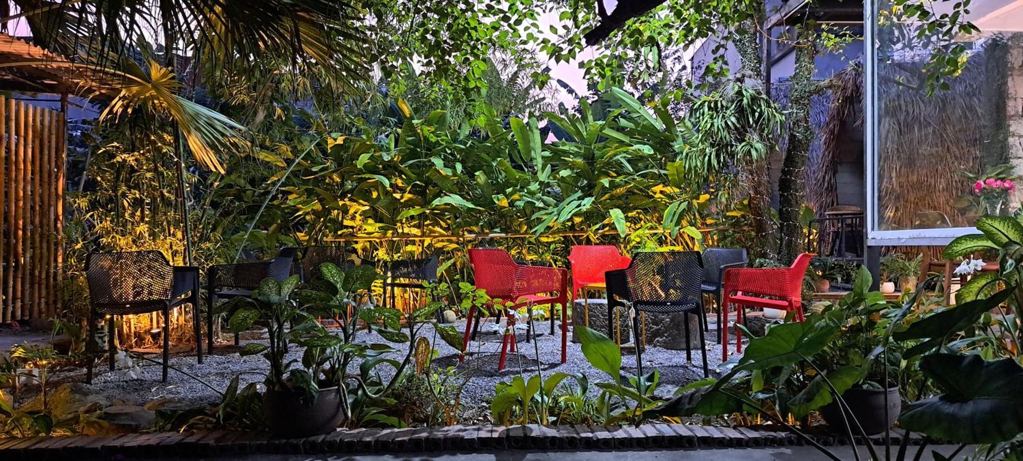 Amy House Lägenhet Ninh Bình Exteriör bild